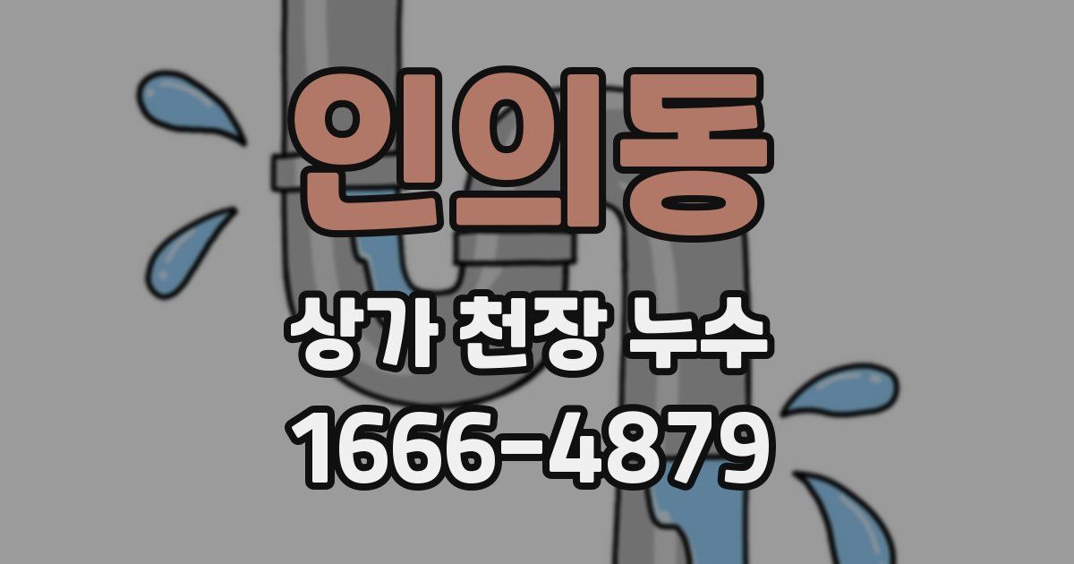 인의동 상가 천장 누수