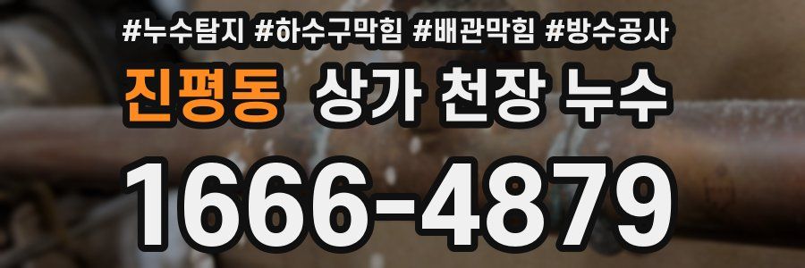 진평동 상가 천장 누수