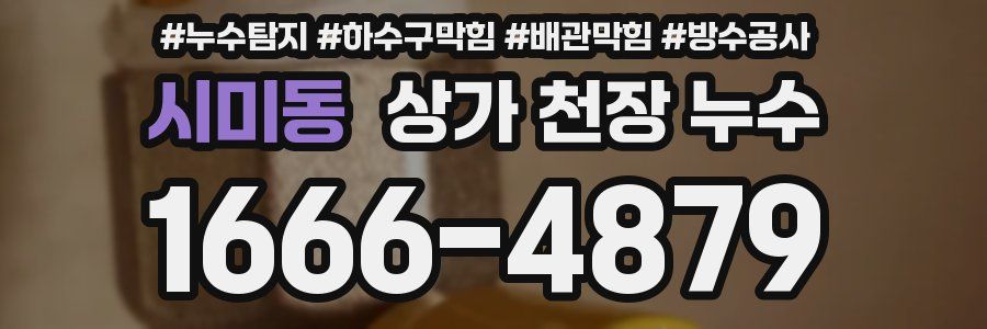 시미동 상가 천장 누수