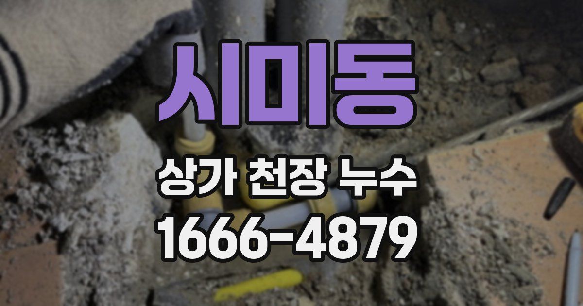 시미동 상가 천장 누수