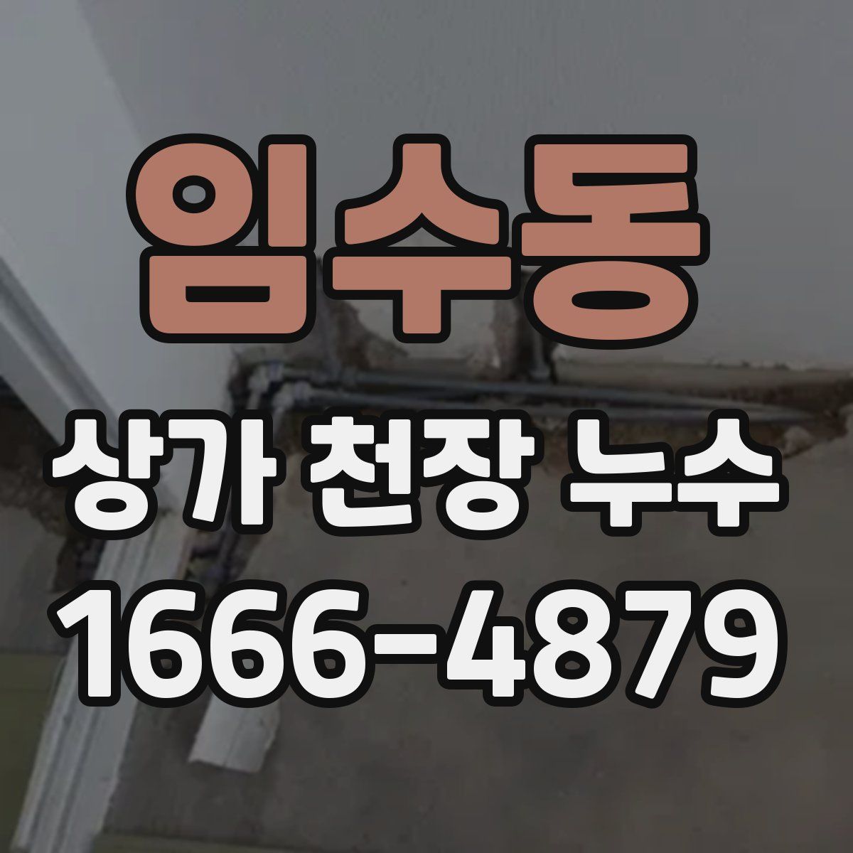 임수동 상가 천장 누수