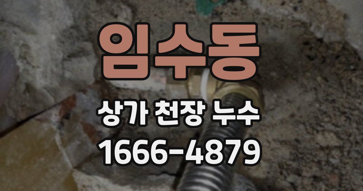 임수동 상가 천장 누수