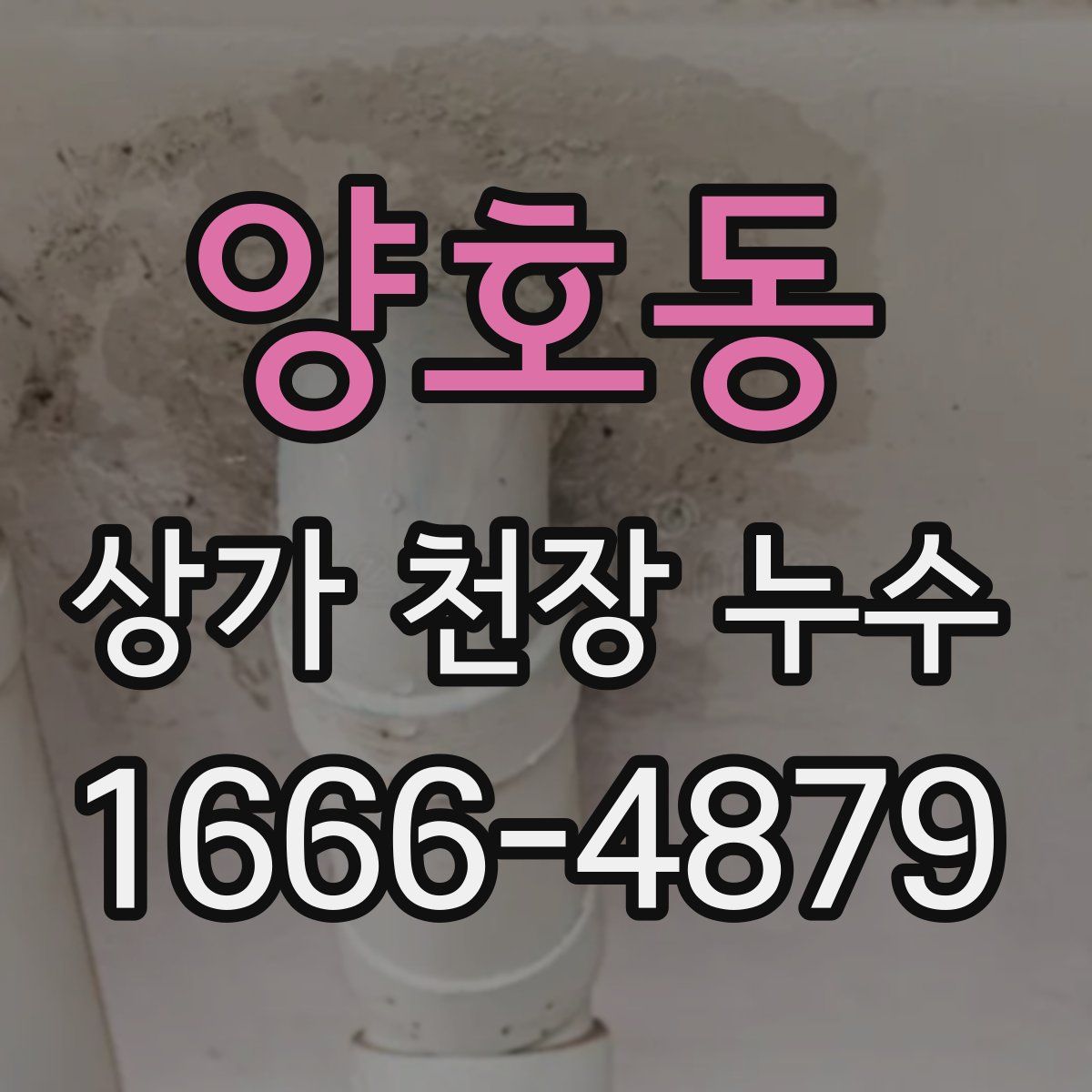 양호동 상가 천장 누수