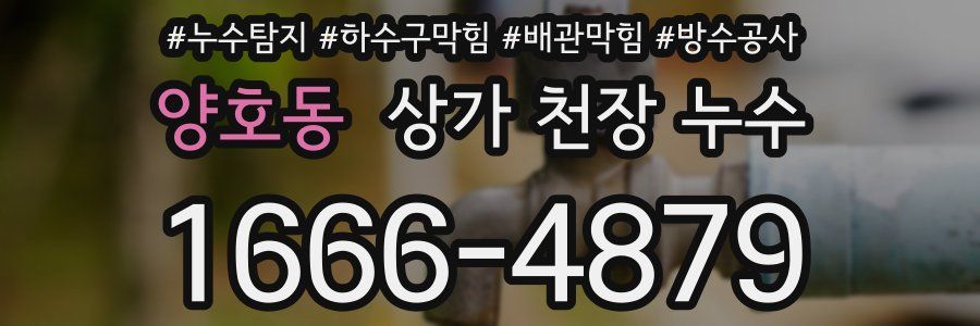 양호동 상가 천장 누수