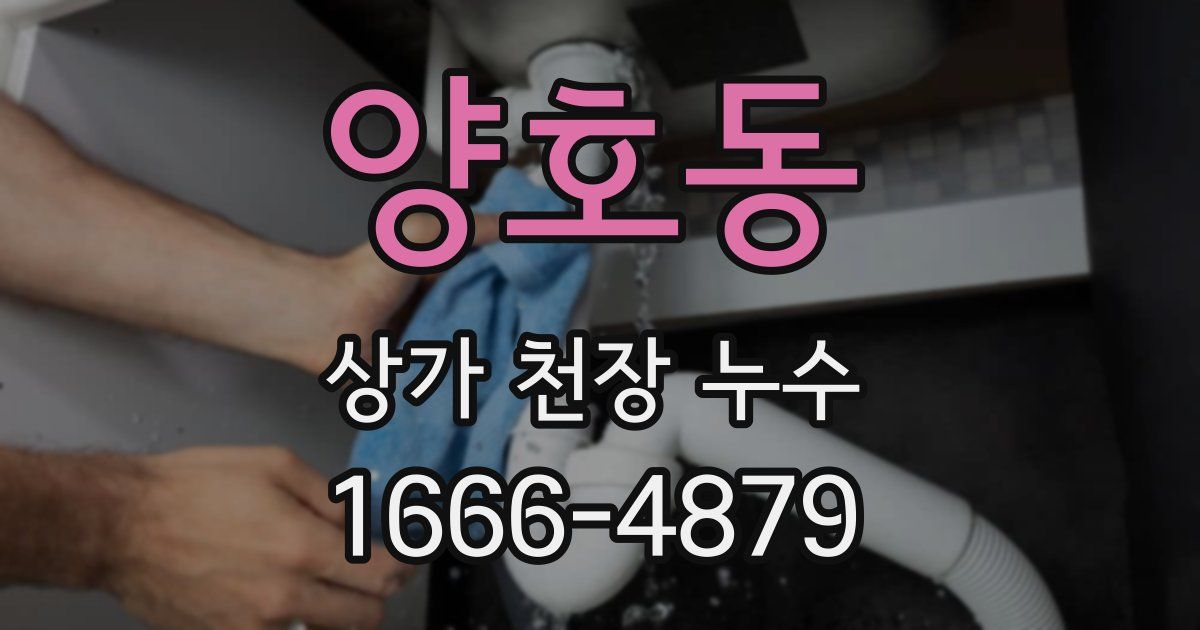 양호동 상가 천장 누수