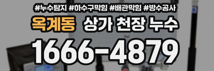 옥계동 상가 천장 누수
