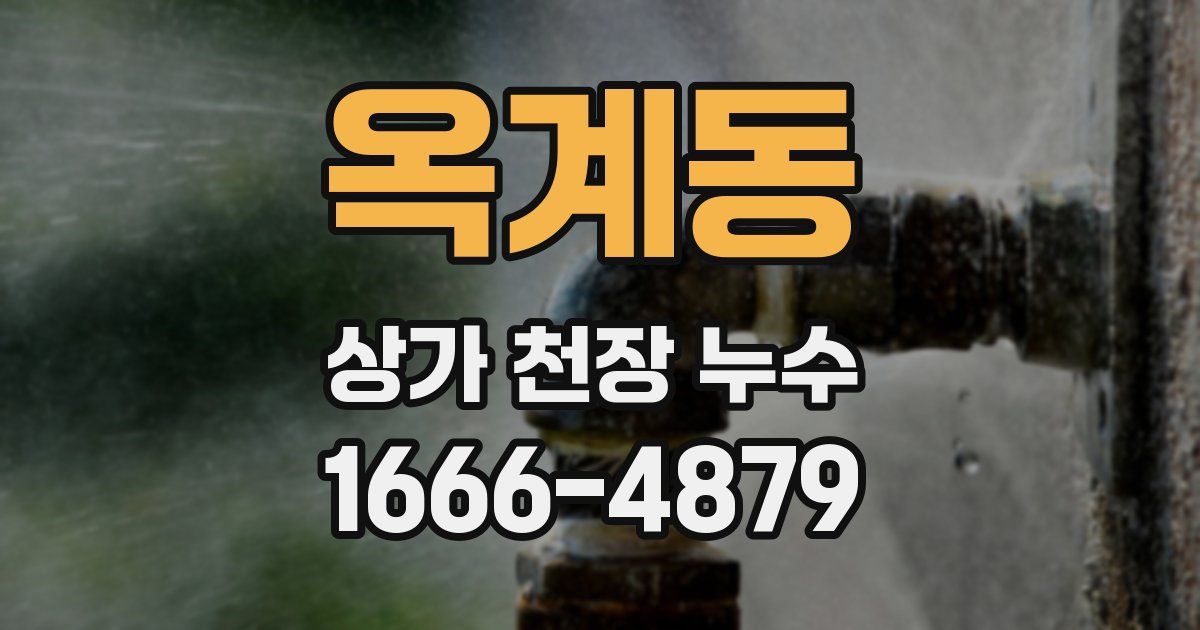 옥계동 상가 천장 누수