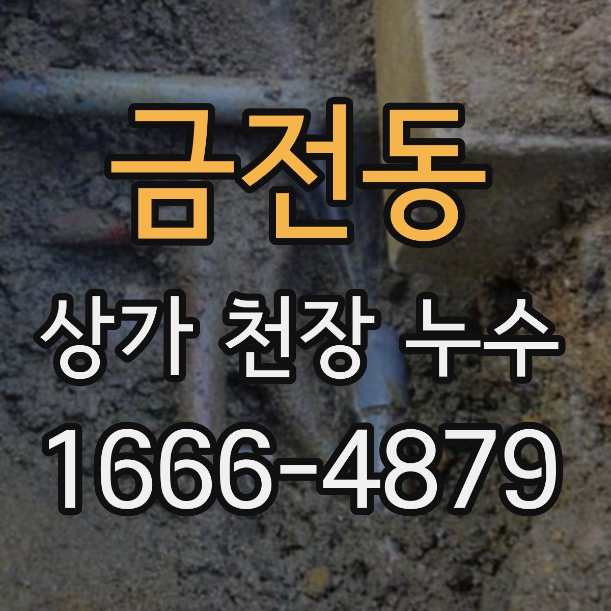 금전동 상가 천장 누수