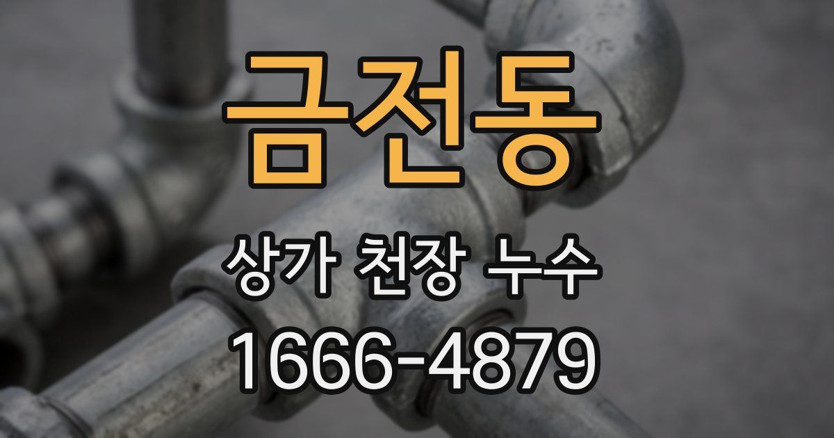 금전동 상가 천장 누수