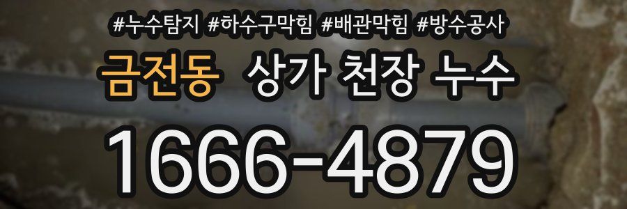 금전동 상가 천장 누수