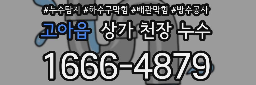 고아읍 상가 천장 누수
