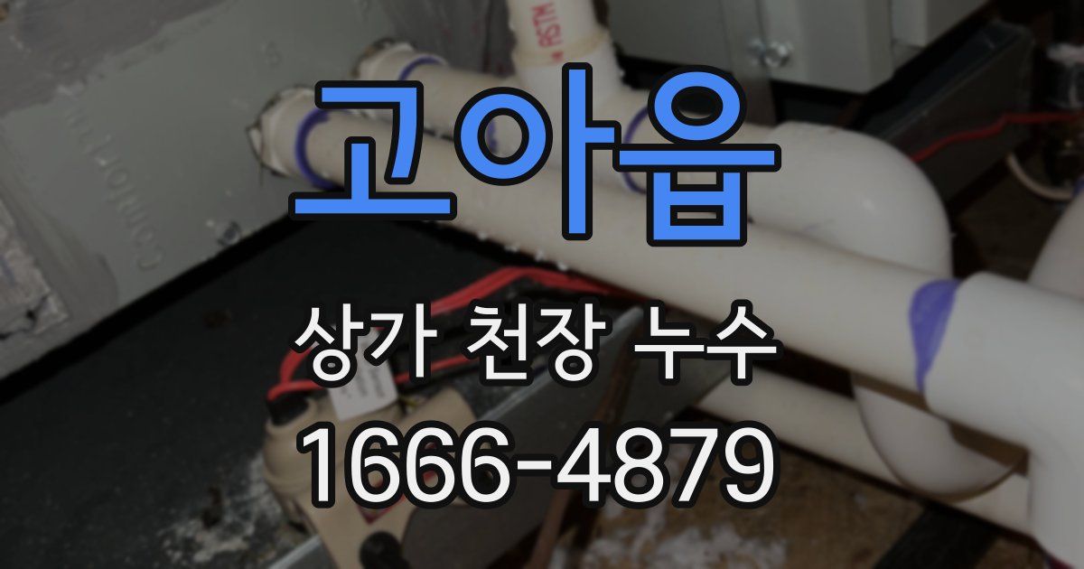 고아읍 상가 천장 누수