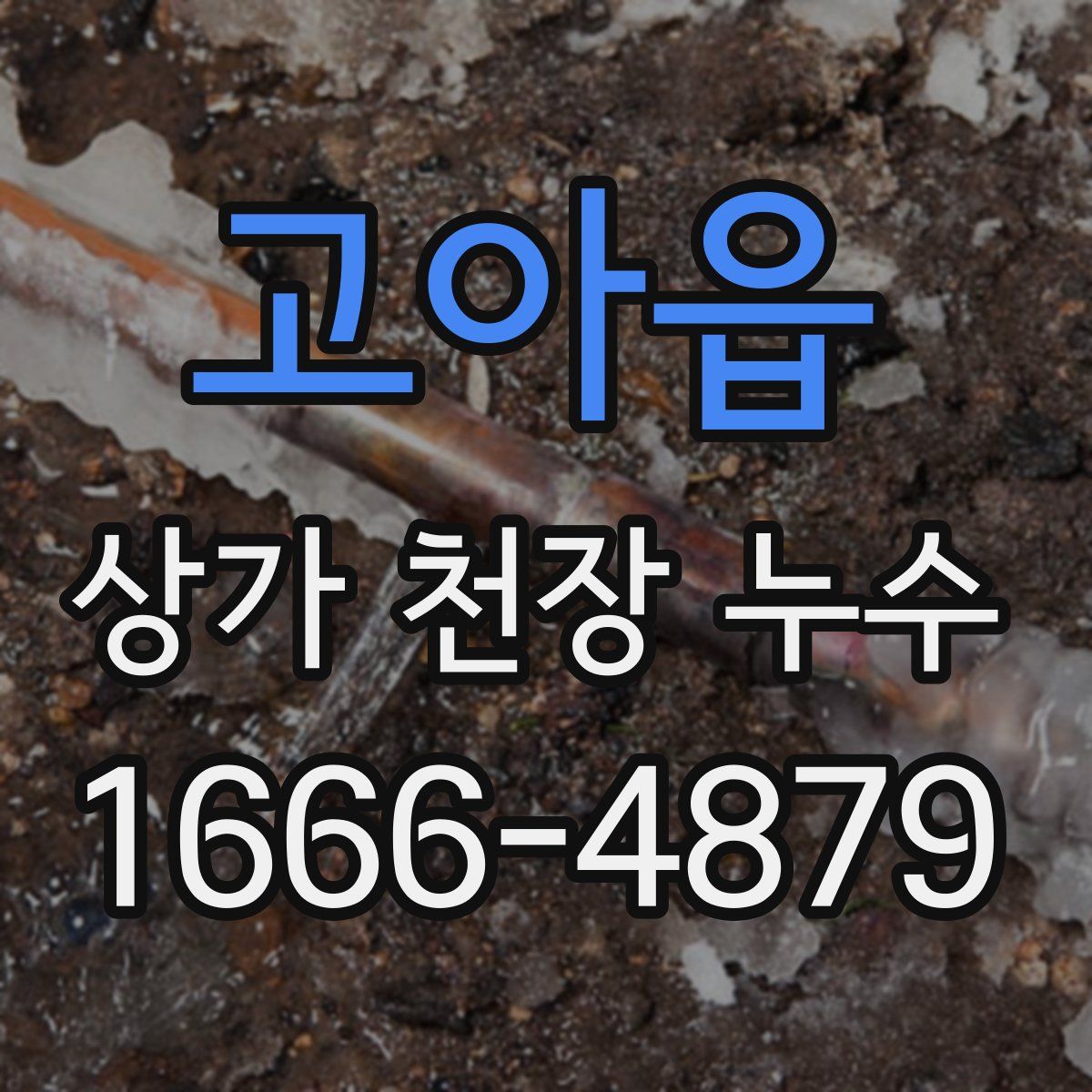 고아읍 상가 천장 누수