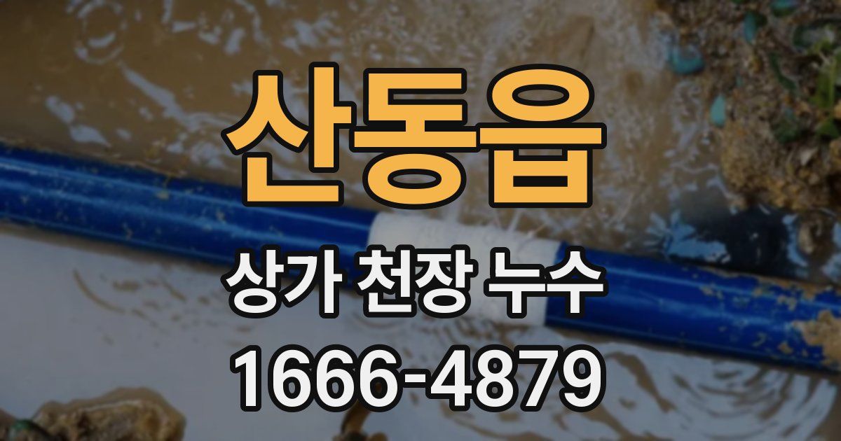 산동읍 상가 천장 누수