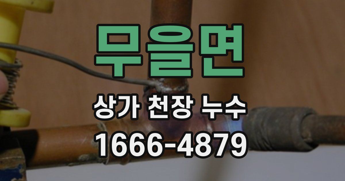 무을면 상가 천장 누수