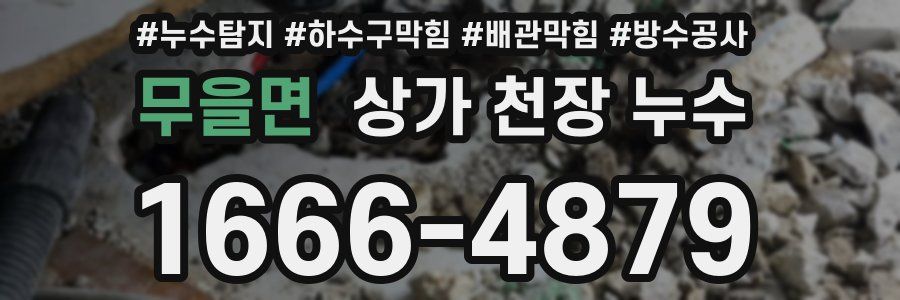 무을면 상가 천장 누수
