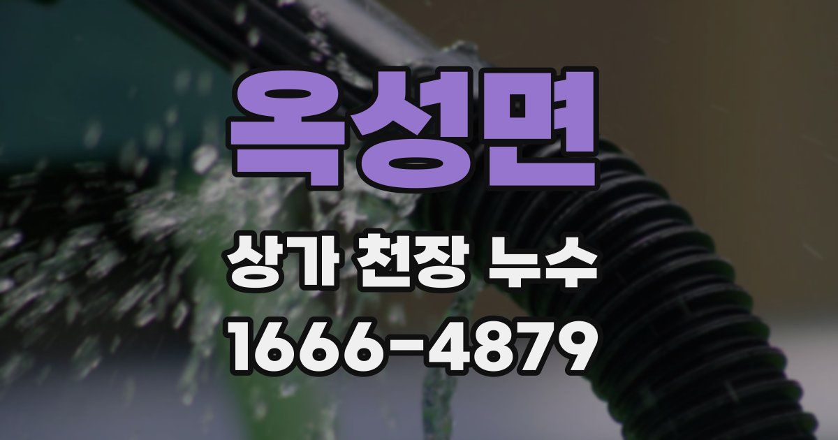 옥성면 상가 천장 누수