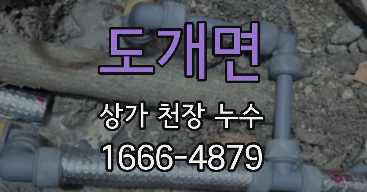 도개면 상가 천장 누수