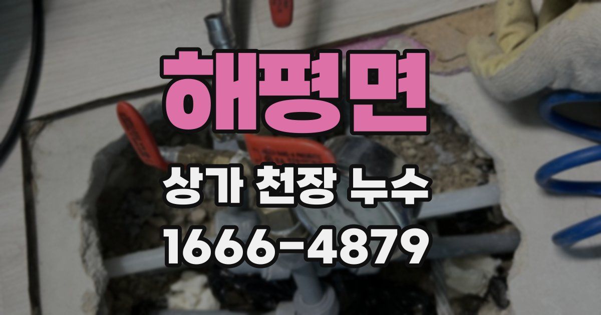 해평면 상가 천장 누수