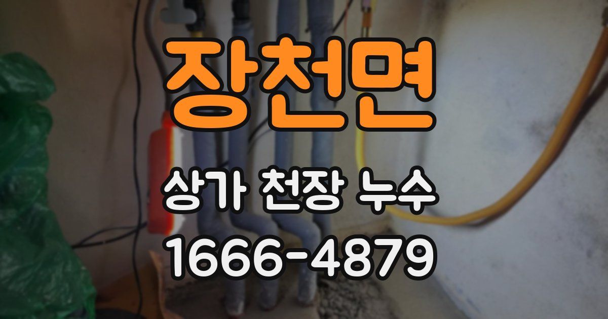 장천면 상가 천장 누수