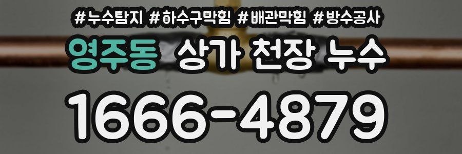 영주동 상가 천장 누수