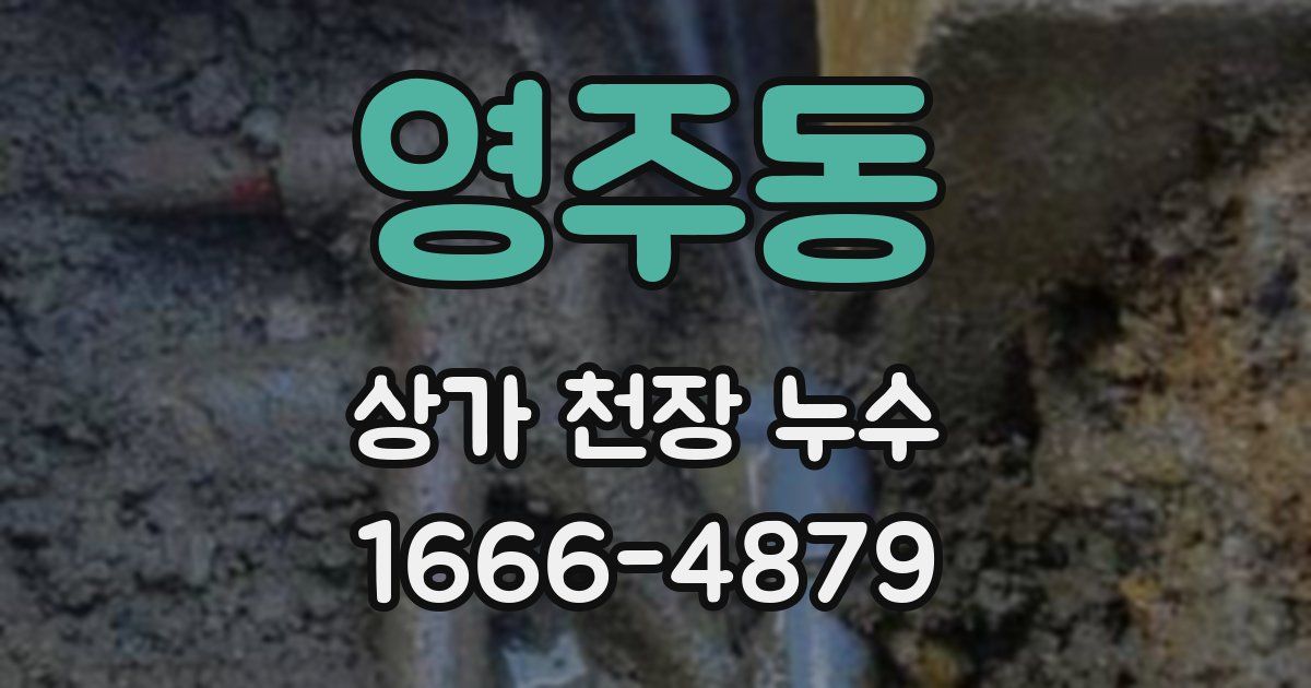 영주동 상가 천장 누수