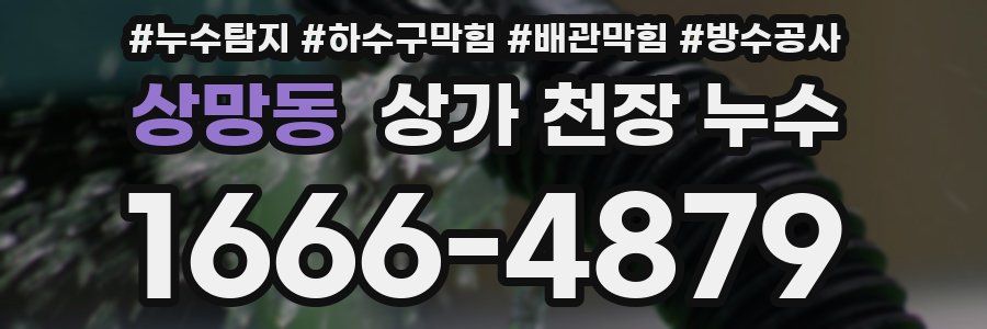 상망동 상가 천장 누수