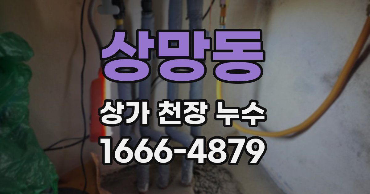 상망동 상가 천장 누수