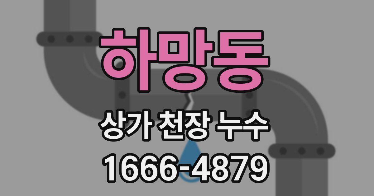 하망동 상가 천장 누수