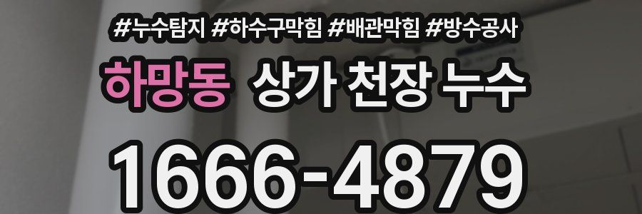 하망동 상가 천장 누수