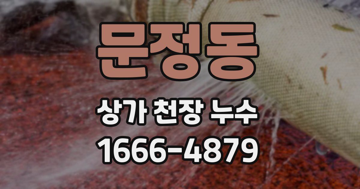문정동 상가 천장 누수