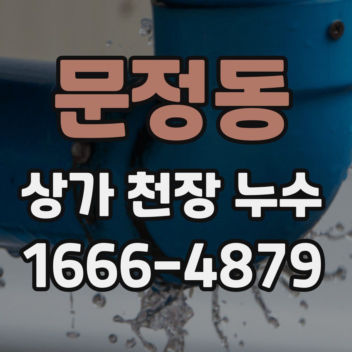 문정동 상가 천장 누수