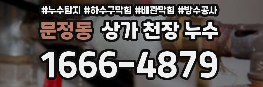 문정동 상가 천장 누수
