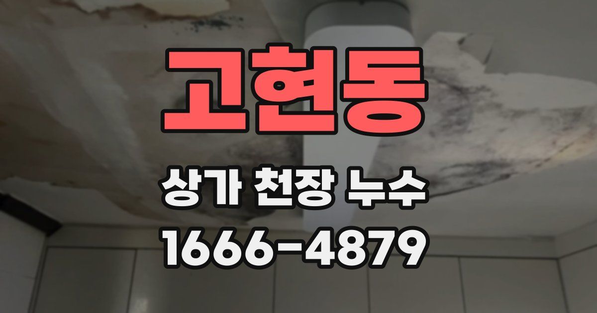 고현동 상가 천장 누수