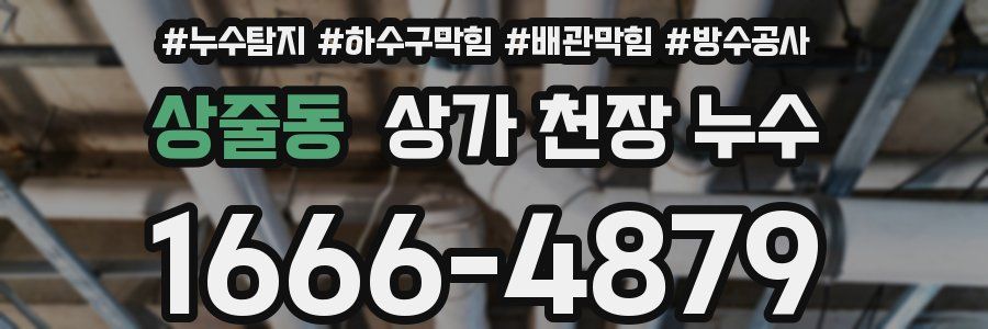 상줄동 상가 천장 누수