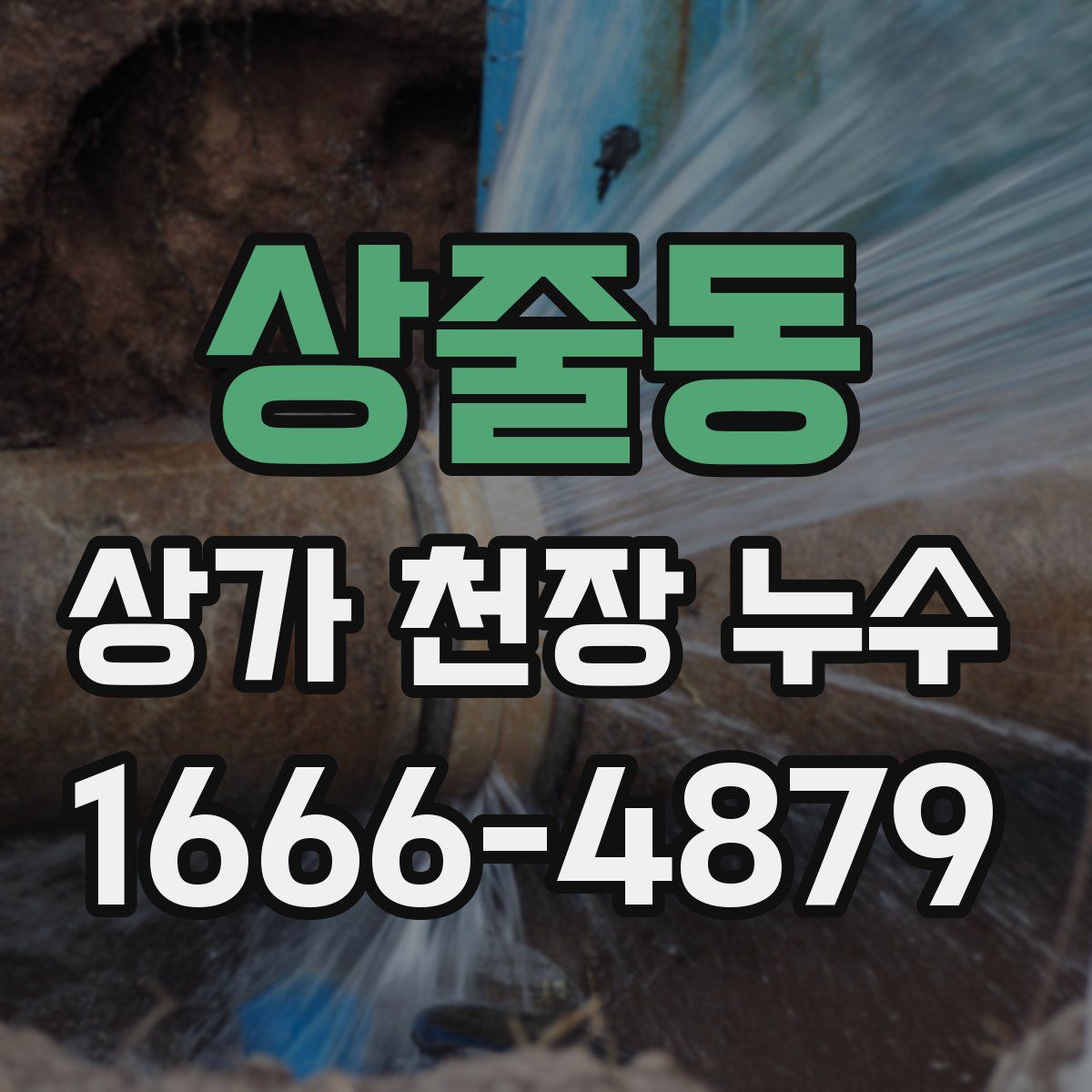 상줄동 상가 천장 누수
