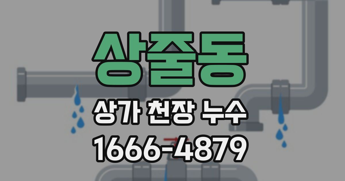 상줄동 상가 천장 누수