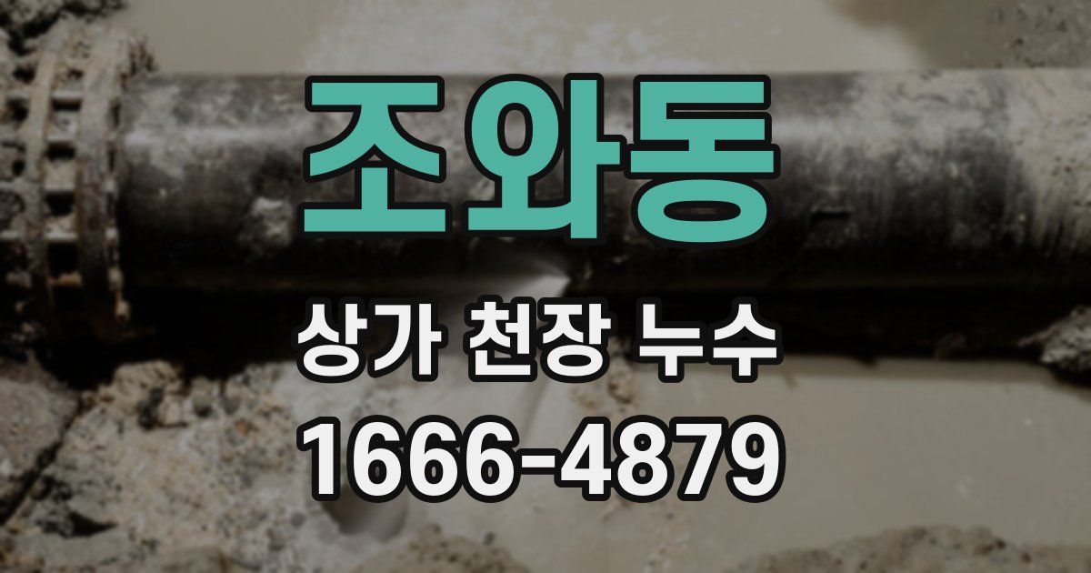 조와동 상가 천장 누수