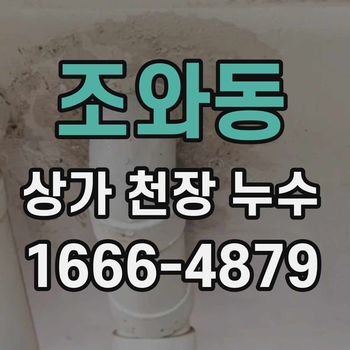 조와동 상가 천장 누수