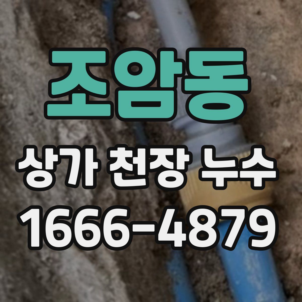 조암동 상가 천장 누수