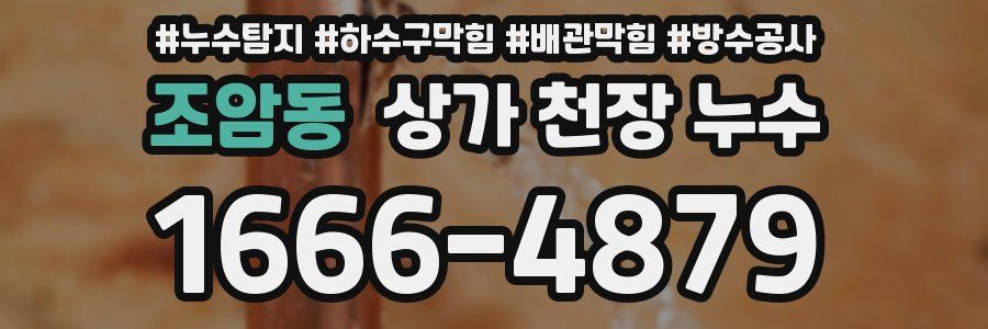 조암동 상가 천장 누수