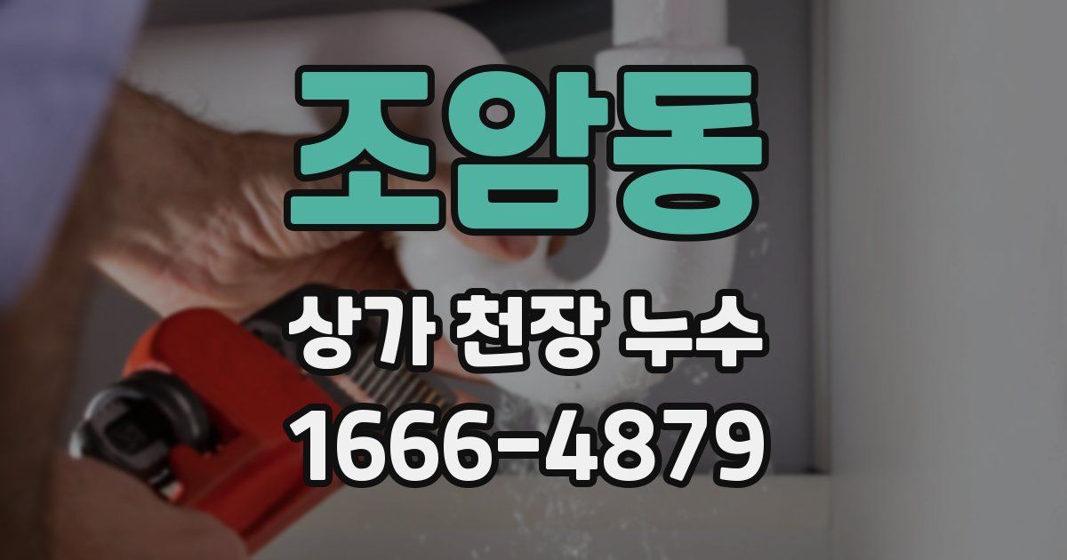 조암동 상가 천장 누수