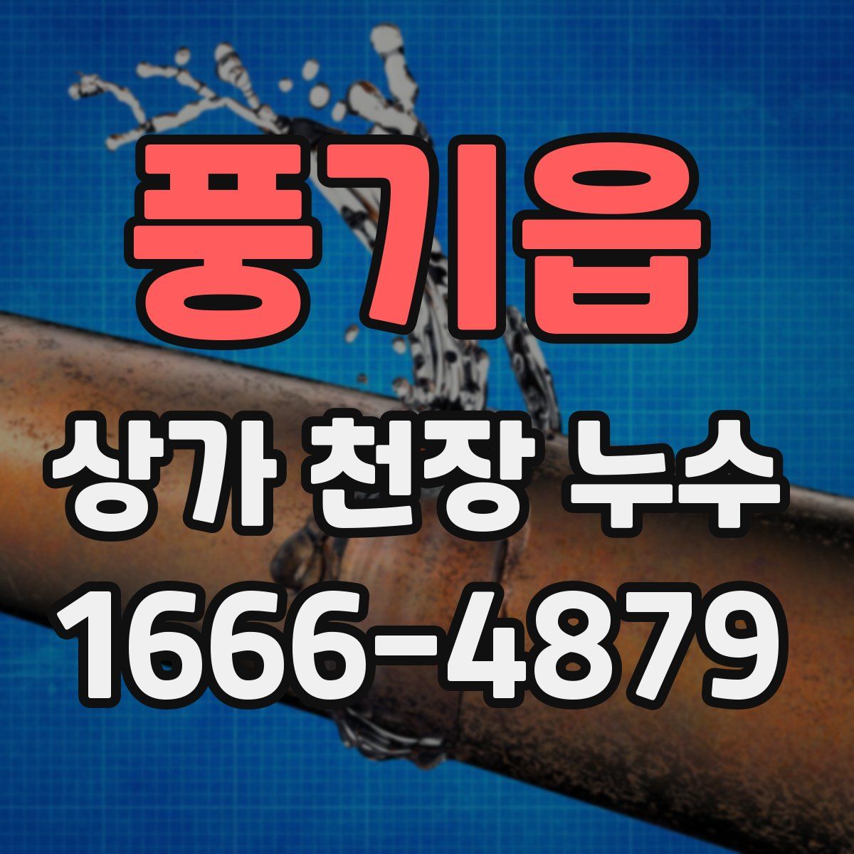 풍기읍 상가 천장 누수