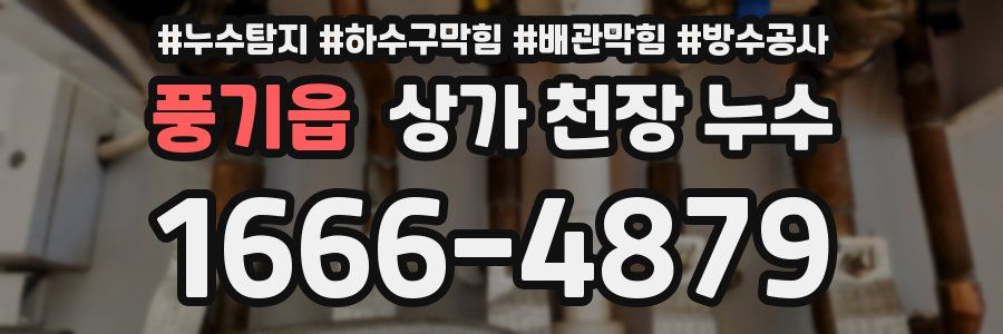 풍기읍 상가 천장 누수