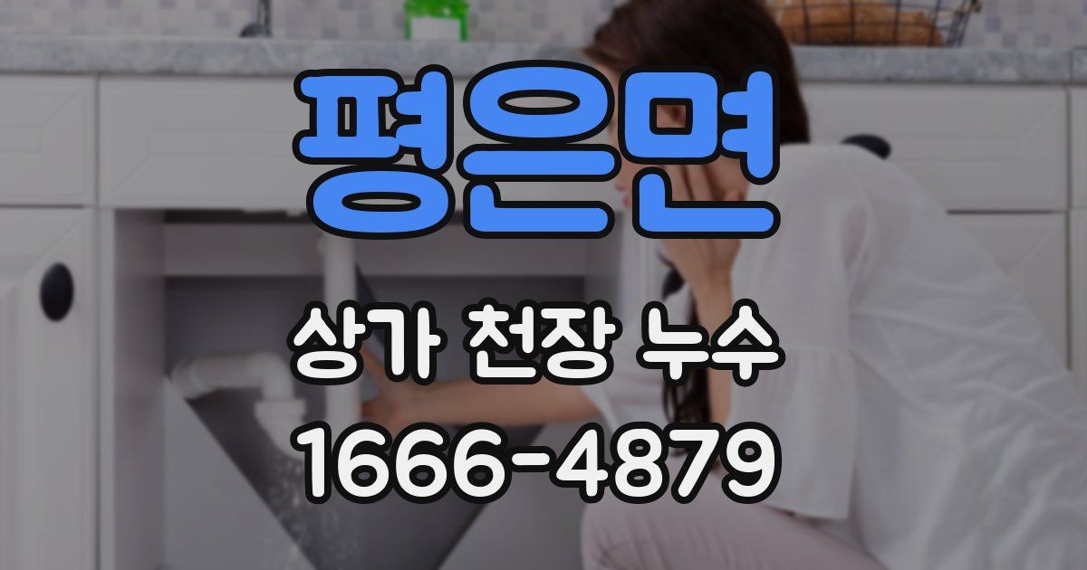 평은면 상가 천장 누수