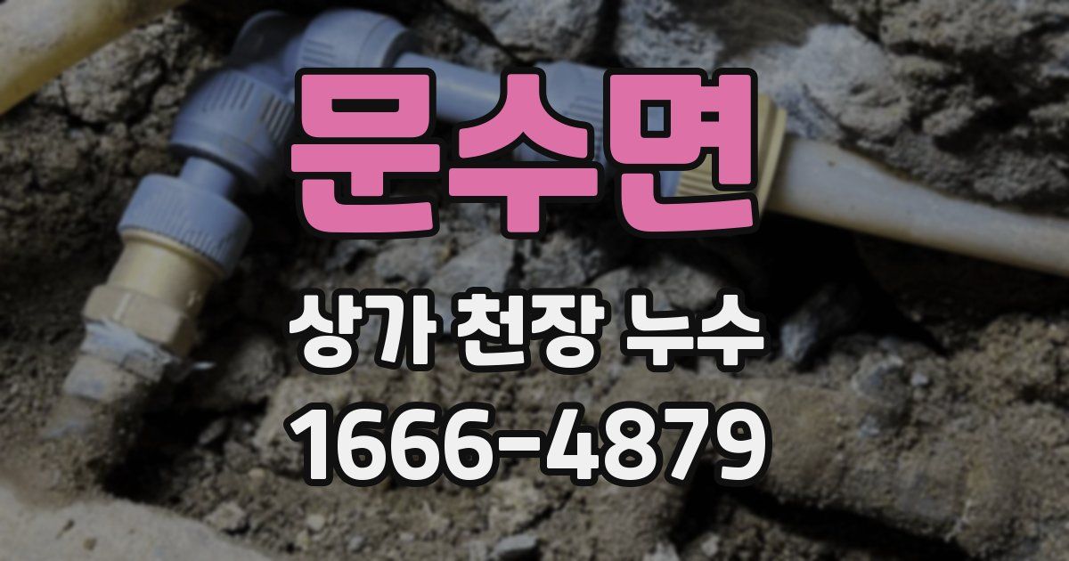 문수면 상가 천장 누수