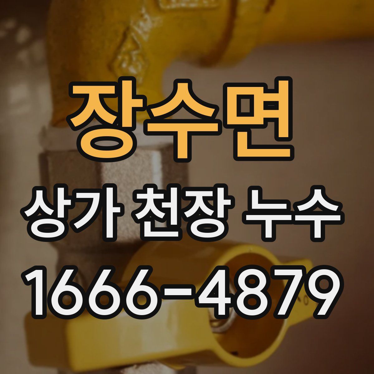 장수면 상가 천장 누수