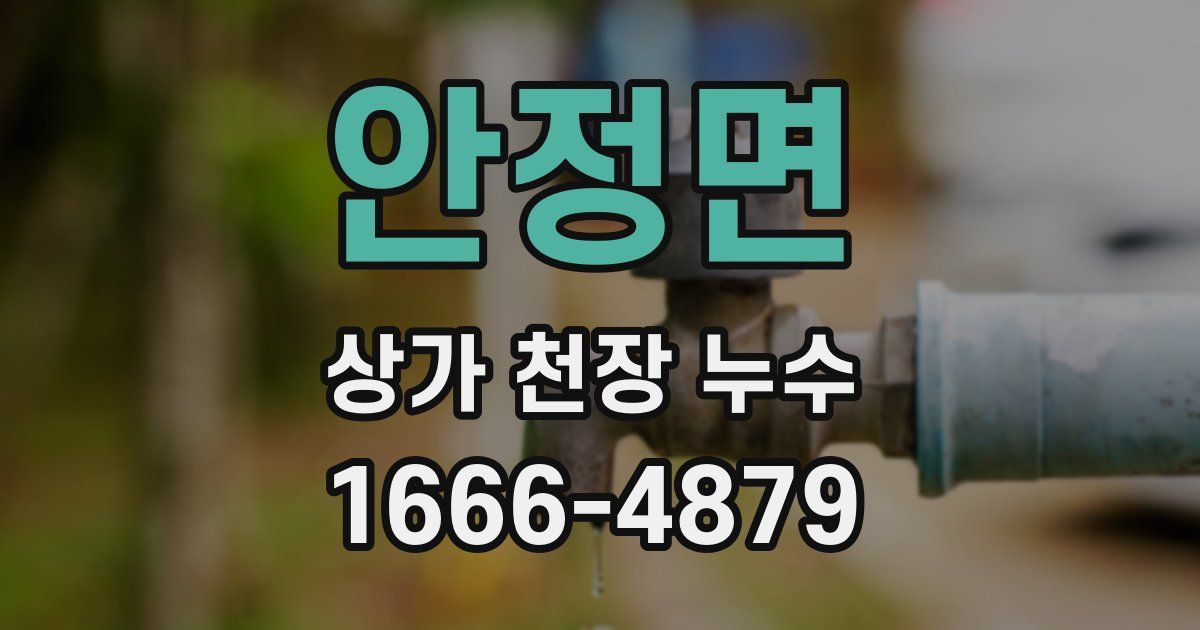안정면 상가 천장 누수