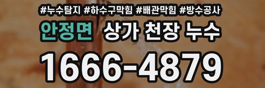 안정면 상가 천장 누수