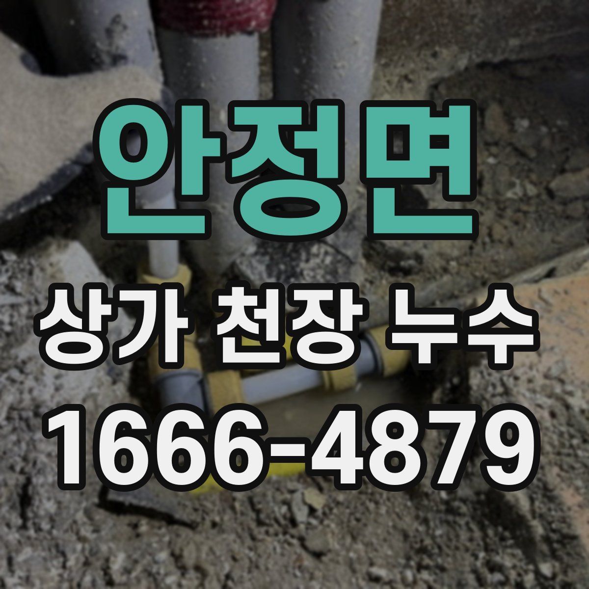 안정면 상가 천장 누수